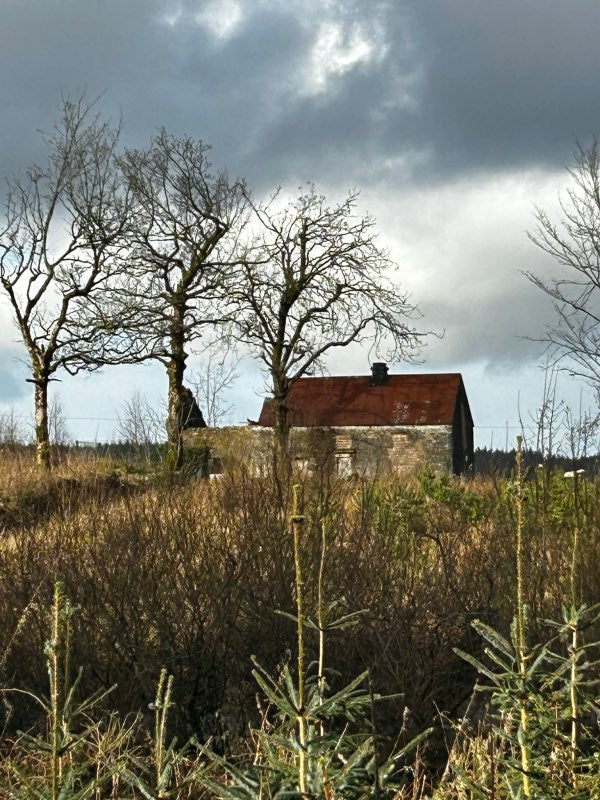 Coonian Ghost House